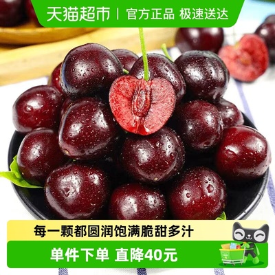 米乐果智利2-4J车里子