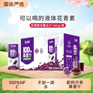 12补充花青素礼盒 宝桑园100%NFC桑葚汁农科臻品桑果汁200ml