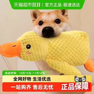 狗狗玩具耐咬发声小型犬泰迪幼犬公狗宠物发情期小狗宠物解闷神器