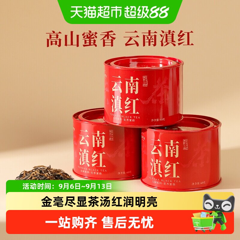 七春云南老树滇红耐泡持久图片