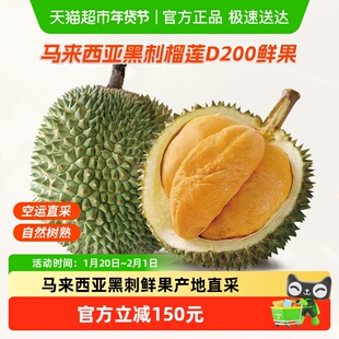 王上榴马来西亚进口新鲜黑刺榴莲D200鲜果整果自然树熟正宗送礼