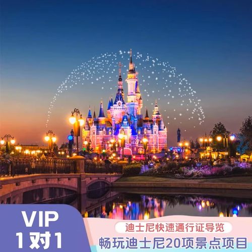 私人定制游玩 线下一对一家庭导览最多可五人，五人以上增加费用150人，十位拍二份 剧场预约&lsquo;&lsquo;，前排花车烟花指导位 合理规划减少排队时间