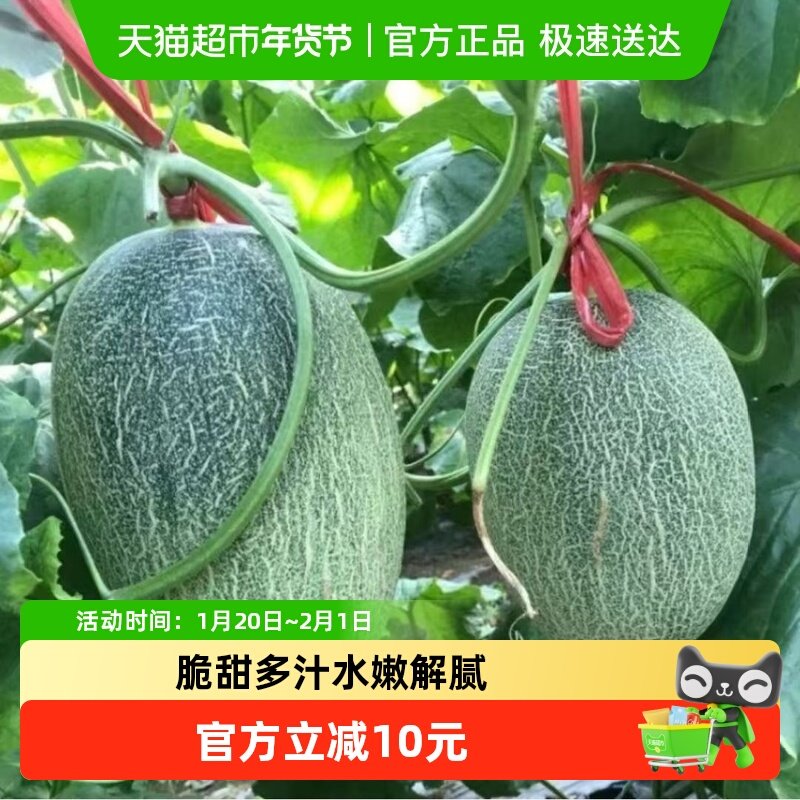 甘肃沙漠哈密瓜皮薄清脆香甜当季新鲜水果,水产肉类/新鲜蔬果/熟食,甜瓜,淘宝优惠券,粉丝福利购,淘宝优惠卷
