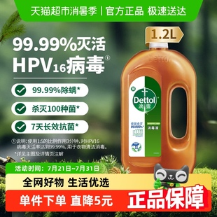 99.99%滅活hpv16 Dettol 滴露松木消毒液 皮膚衣物消毒殺菌