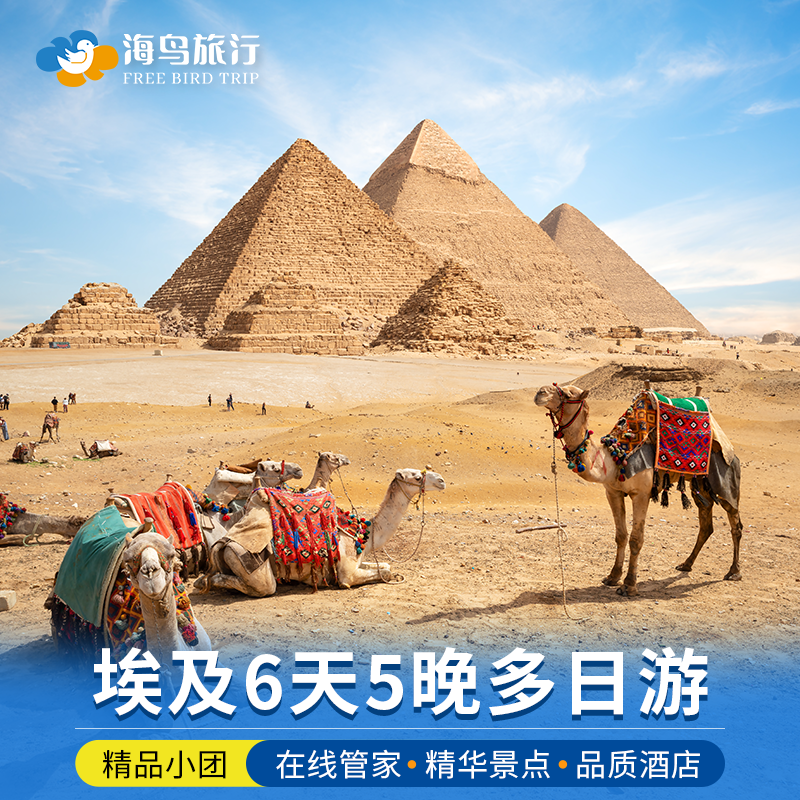 埃及旅游6天5晚多日游开罗卢克索阿斯旺金字塔红海落地团含酒店,度假线路/签证送关/旅游服务,境外一日游/多日游,淘宝优惠券,粉丝福利购,淘宝优惠卷