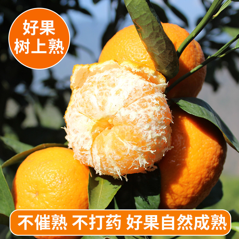 ����5�����4.6��� 70mm-75mm �����ָ�5������ˮ�����������۽�������ٽ��Ӱ���