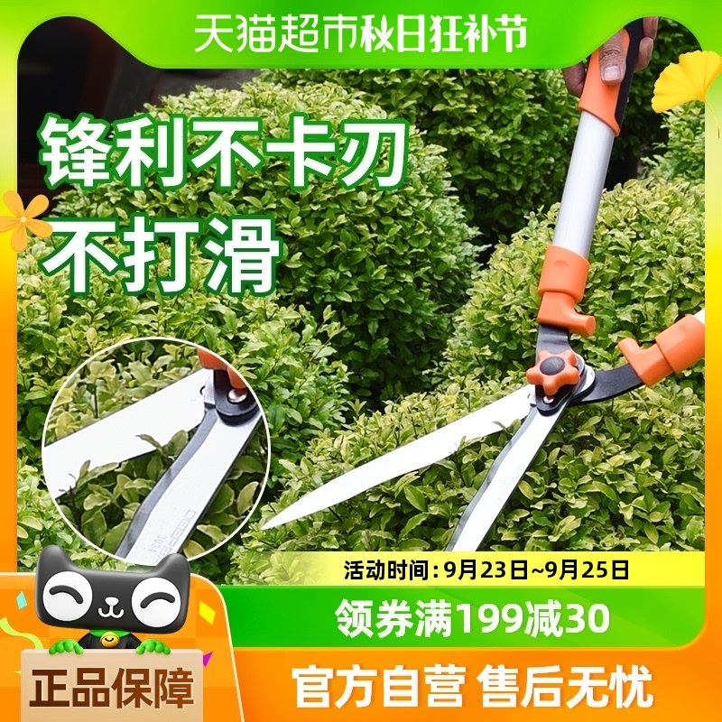 ����Ʒ���ʡ������ڴ�֦����֦��֦������֦����������԰�ֹ���