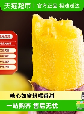 【顺丰直发】新鲜现挖红薯进口品种红瑶蜜薯产地直发烤黄心地瓜