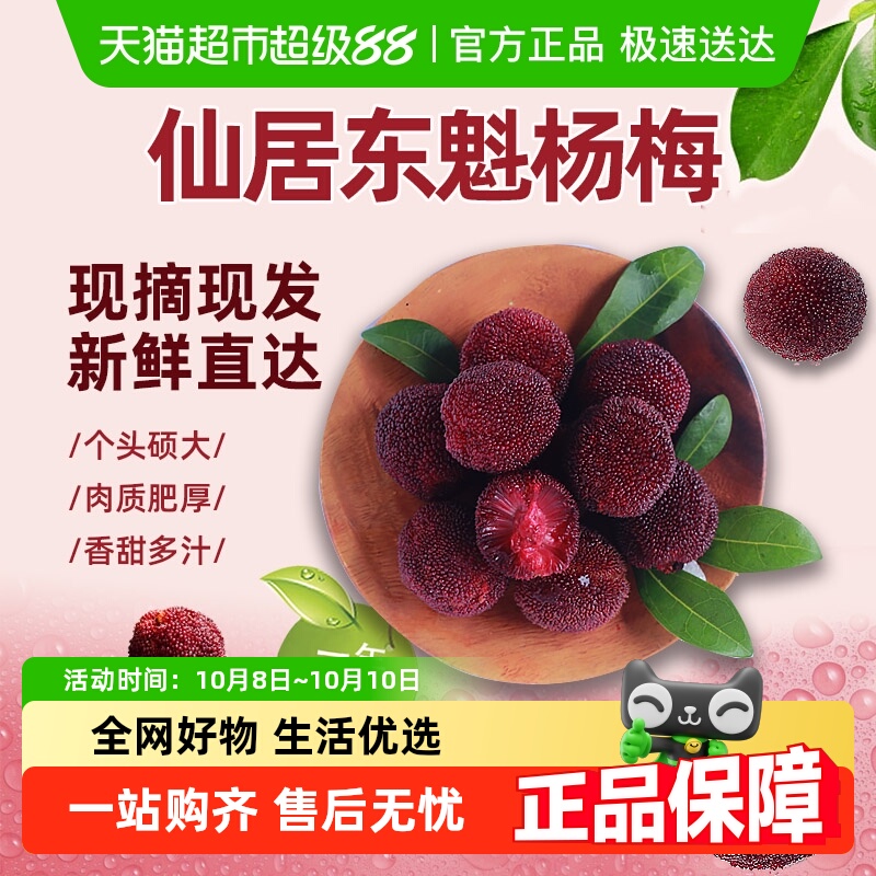 【交个朋友】仙居东魁杨梅新鲜杨梅浙江台州杨梅大果时令新鲜水果