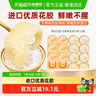 滋时生椰燕麦花胶粥杨枝甘露美龄滋补孕妇补品鲜炖鱼胶即食速食羹