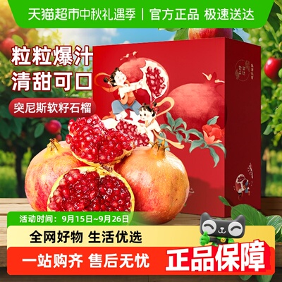 农鲜淘突尼斯软籽石榴饱满多汁