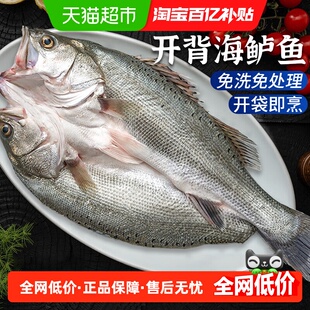 云储生活海鲈鱼开背新鲜冷冻鲜活青岛深海鱼七星海卢鱼水产烤鱼