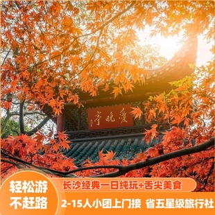 老人友好线路 亲子 湖南长沙一日游 15人VIP纯玩旅游跟团小团懒人