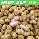 2025年新鲜花生农家现挖粉红皮花生水煮花生带壳新鲜湿花生微带泥