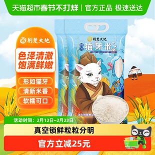 【超级桶】荆楚大地大米猫牙米5kg*2袋南方优质长粒米真空20斤