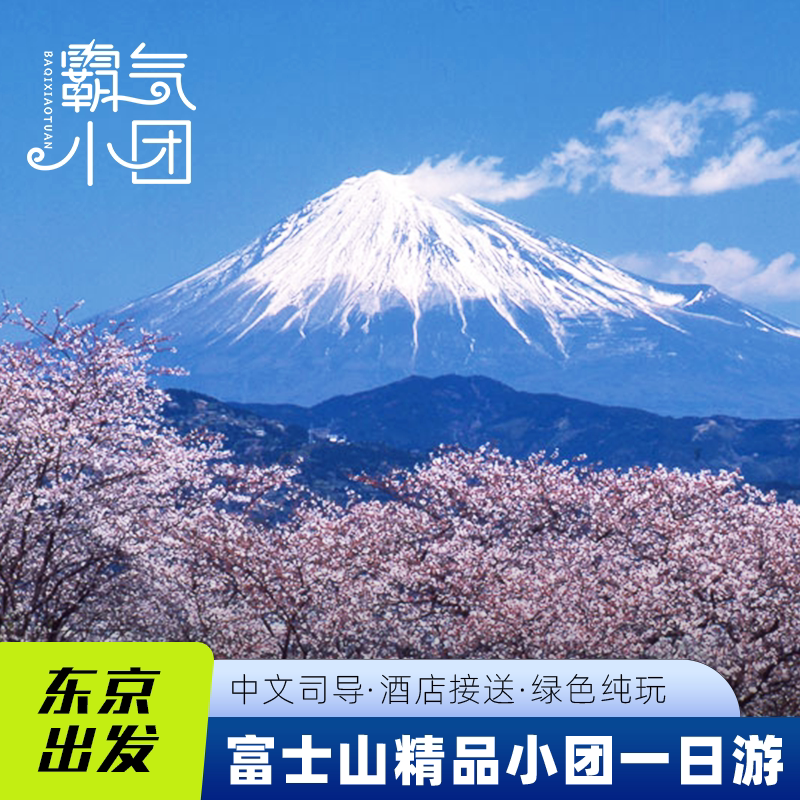 樱花季9人小团|日本东京富士山一日游河口湖樱花节山中湖天梯小镇