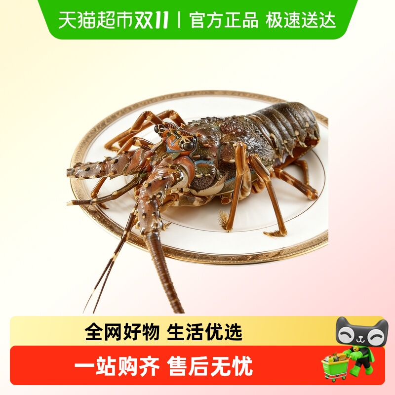 烁奢鲜进口鲜活冷链配送