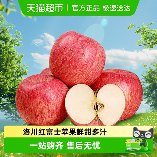 鲜农选陕西洛川苹果红富士苹果
