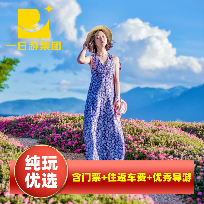 抚仙湖+禄充风景区+粉红沙滩一日游 昆明旅游 二环内接可升级帆船