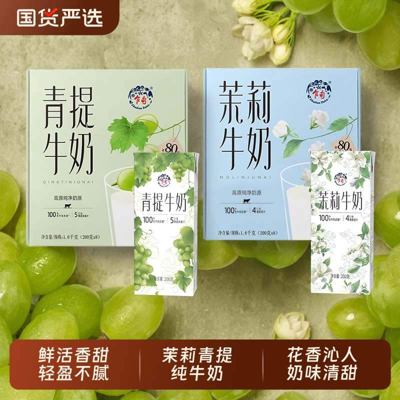 乍甸青提茉莉花香味甜牛奶200g*8盒礼盒装含乳饮料儿童早餐奶盒
