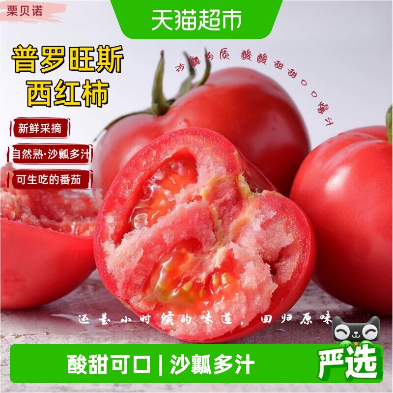 栗贝诺山东普罗旺斯西红柿即食生吃自然成熟起沙瓤多汁多铁皮柿子 - 实物图