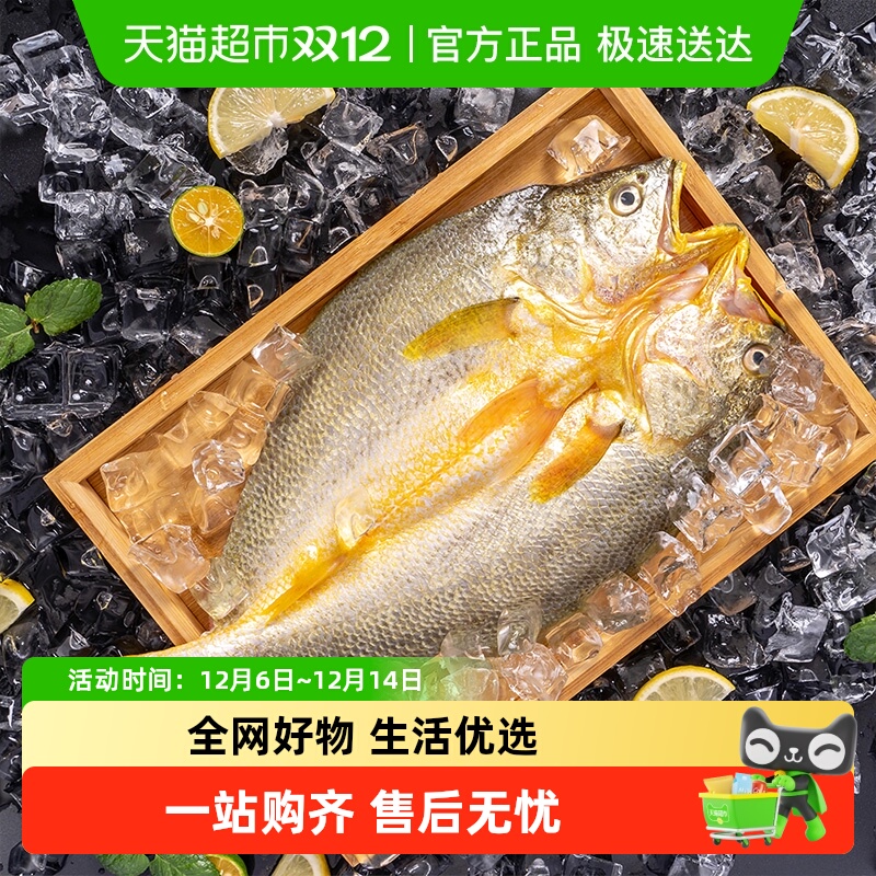 三都港黄鱼鲞400g×3条免调味