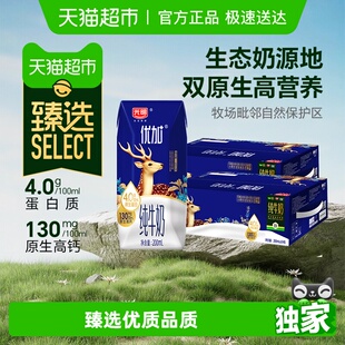 2箱新老包装 24盒 光明优加4.0g蛋白纯牛奶200mL 随机发货 臻选