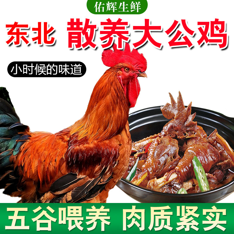 正宗大公鸡农家散养现杀杂粮土鸡走地鸡山林整鸡新鲜鸡肉,水产肉类/新鲜蔬果/熟食,整鸡/整鸡制品,淘宝优惠券,粉丝福利购,淘宝优惠卷