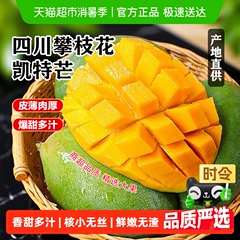 详情领优惠 正宗攀枝花凯特芒果大脸芒当季新鲜水果包邮 催熟食用