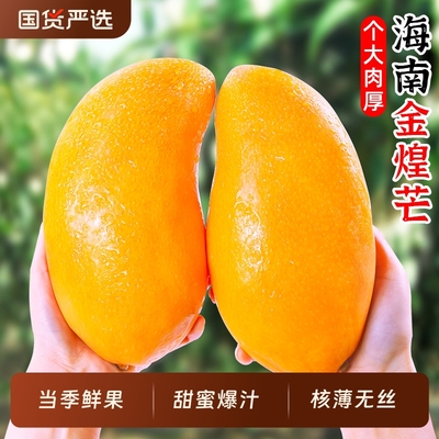 【金煌芒好评榜】官方推荐