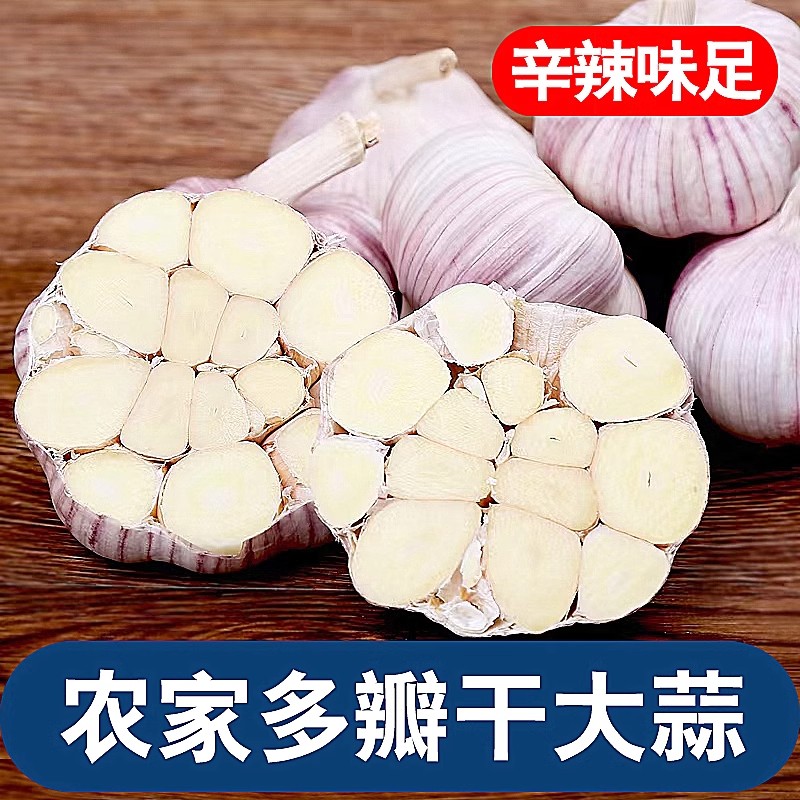 2025新干蒜大蒜头干蒜蒜汁浓干蒜头紫白皮干蒜鲜蒜干蒜农家干蒜