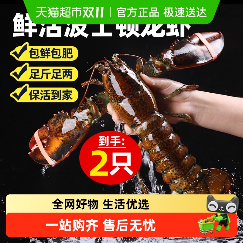 保活波士顿龙虾到手不活包赔