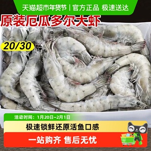 大虾鲜活速冻海虾厄瓜多尔白虾特大号基围虾海鲜生鲜水产冷冻