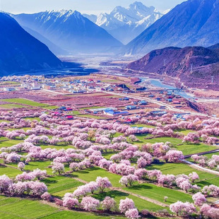 6人小团新疆伊犁旅游7日游独山子大峡谷库尔德宁那拉提草原六星街