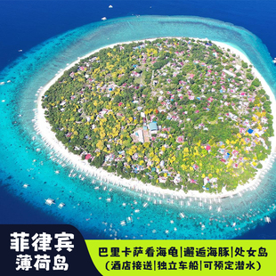 菲律宾薄荷岛巴里卡萨处女岛跳岛看海豚海龟邦劳酒店接送