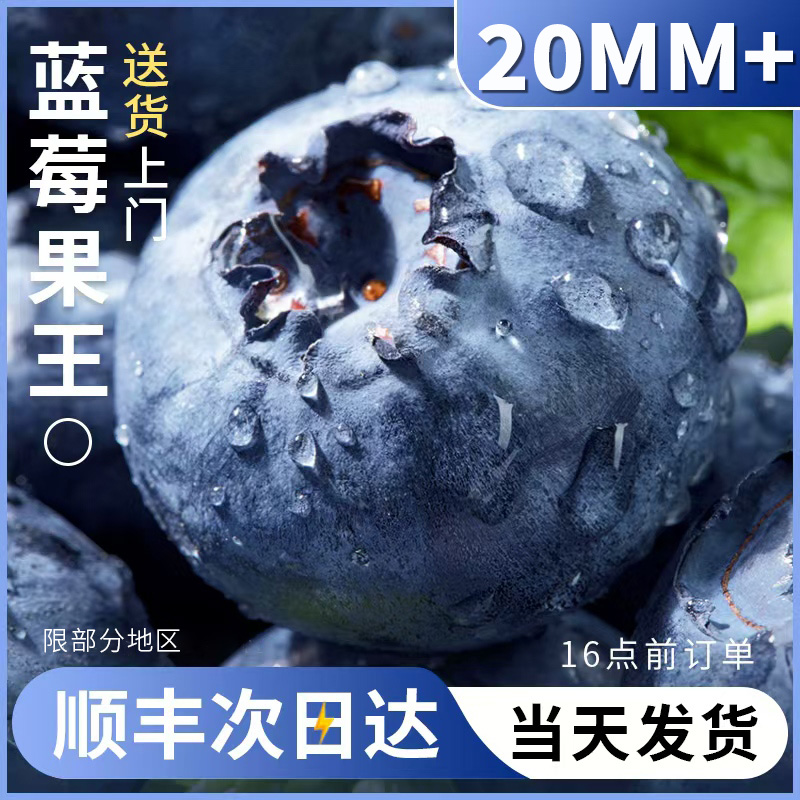 云南蓝莓鲜果新鲜20mm高端水果当季怡颗高山L25花香整箱顺丰包邮