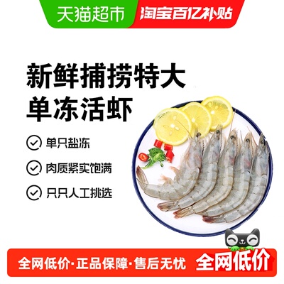 厄瓜多尔大白虾新鲜冷冻