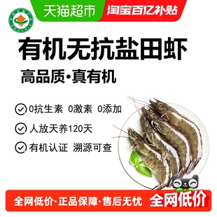 有机无抗鲜冻虾大虾鲜活水产海鲜虾速冻冷冻虾盐田虾