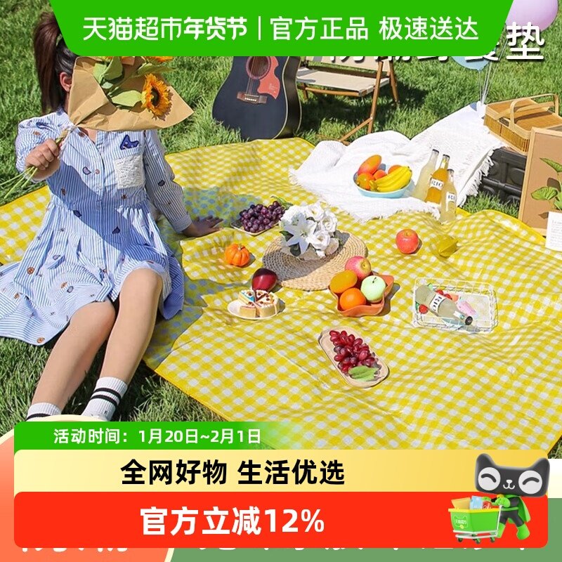 新新精艺野餐防潮垫户外野炊露营沙滩帐篷地垫春游坐垫防水草坪垫,节庆用品/礼品,节庆布艺用品,淘宝优惠券,粉丝福利购,淘宝优惠卷
