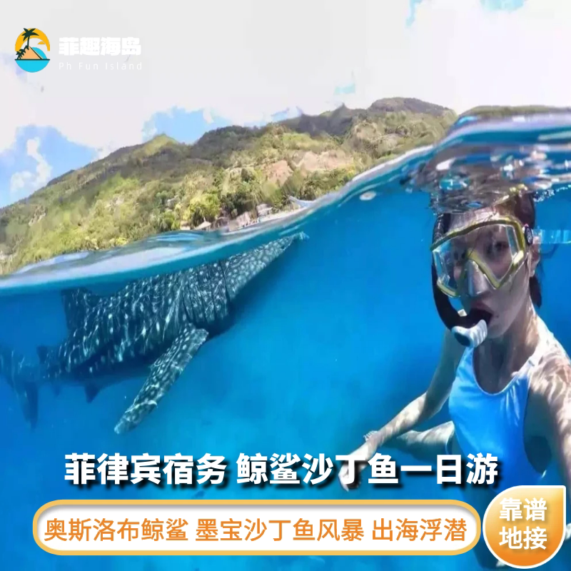 菲律宾宿务出发奥斯洛布鲸鲨+墨宝沙丁鱼风暴一日游 可升体验深潜