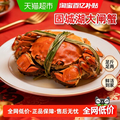 渔传播固城湖大闸蟹礼盒