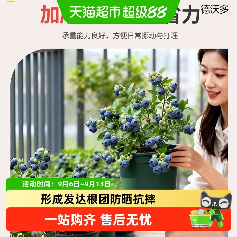 德沃多青山盆室内加厚控根透气圆柱形塑料花盆家用引导根系发育