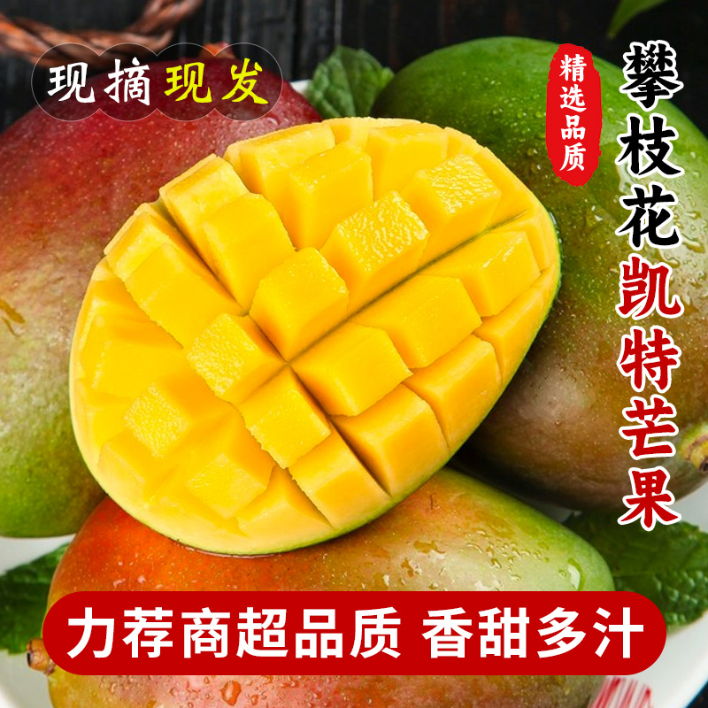 四川攀枝花凯特芒果新鲜当季整箱水果甜大青皮现摘芒果应季包邮