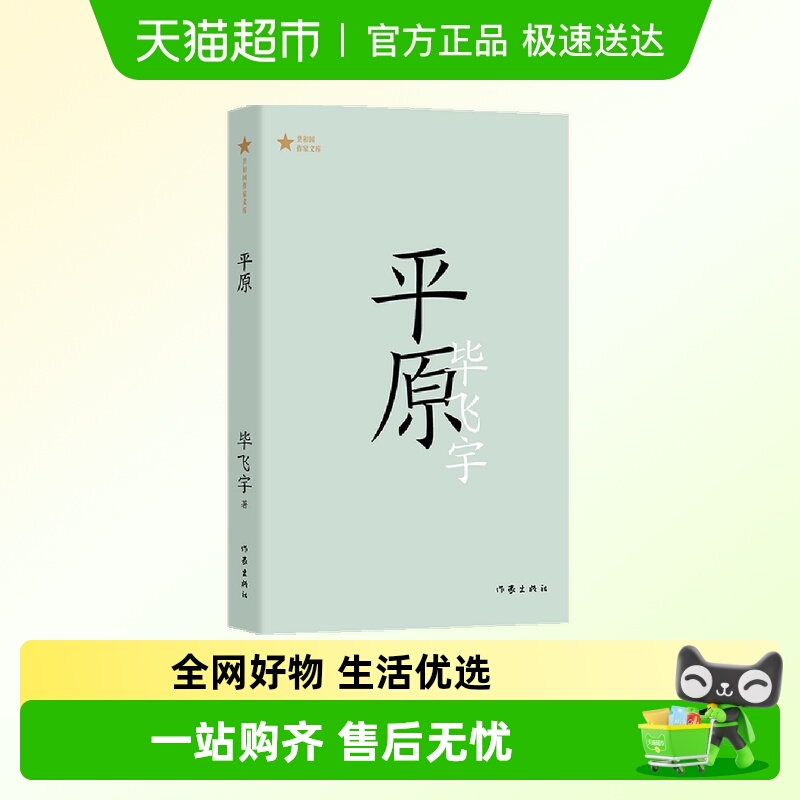 平原正版书籍无毕飞宇