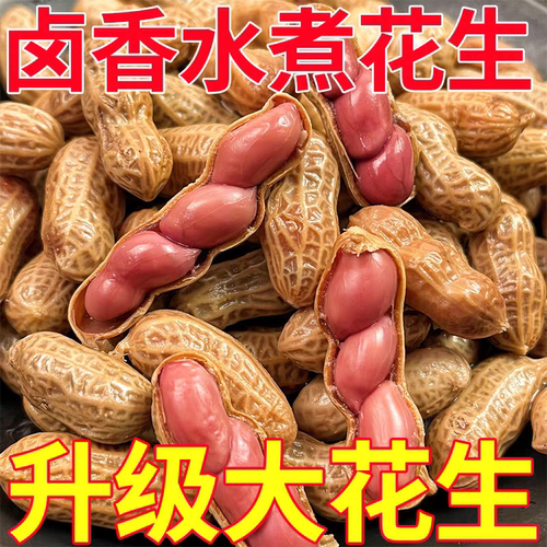 五香卤煮花生500g开袋即食水煮卤水带壳卤味花生米卤汁零食下酒菜