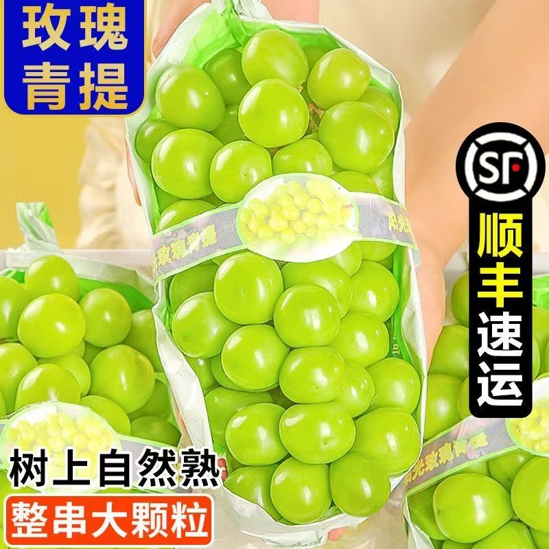 云南阳光玫瑰葡萄新鲜水果无籽香印青提晴王提子当季葡萄整箱包邮