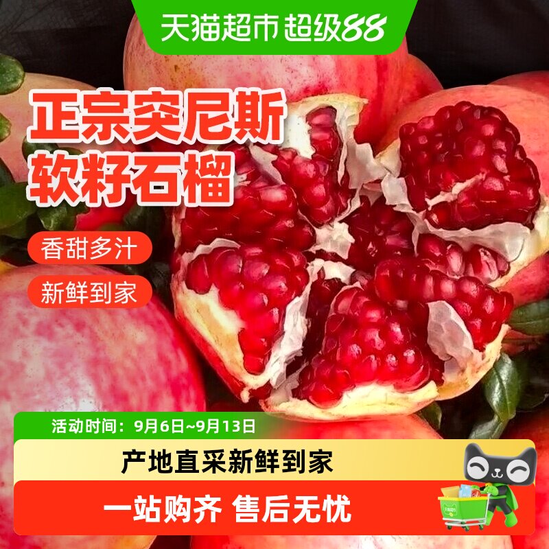 江昊阳四川突尼斯软籽石榴图片
