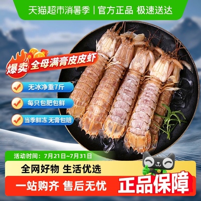 渔游记皮皮虾