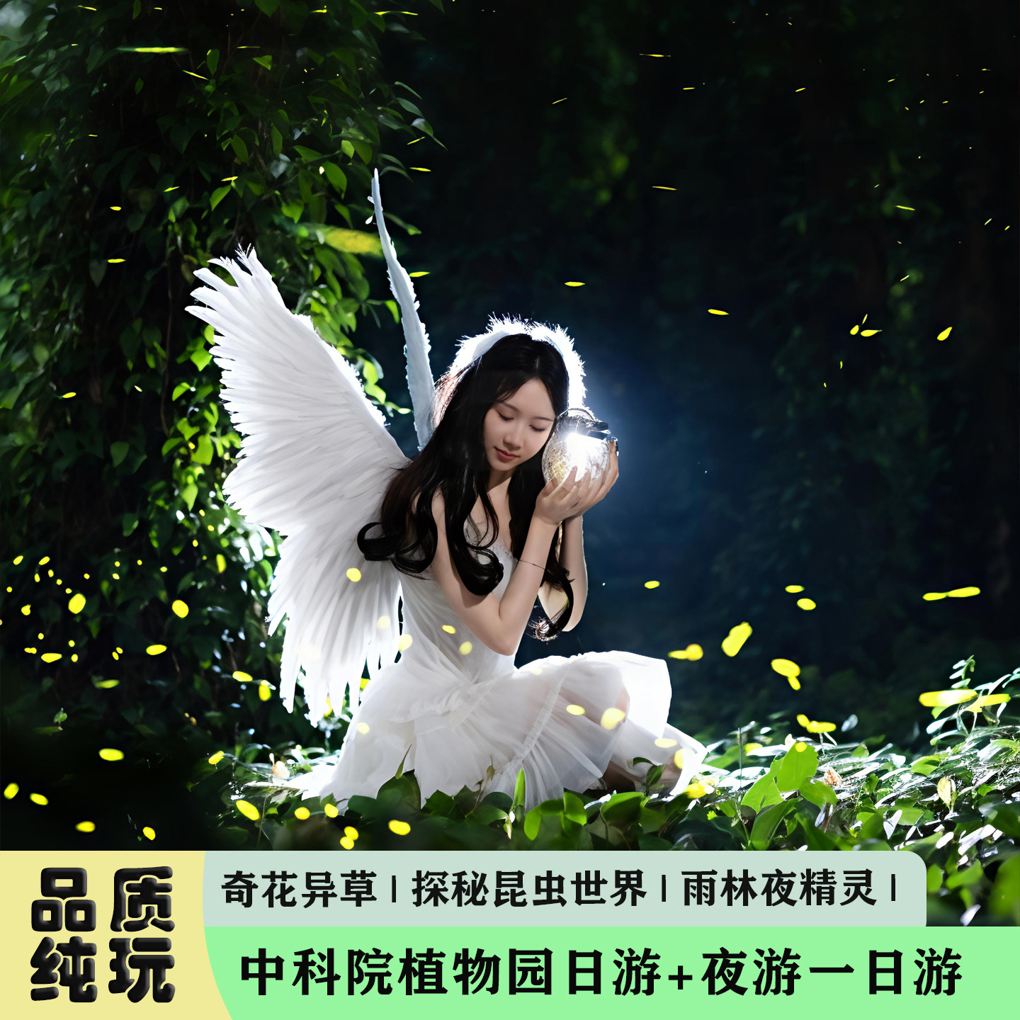 云南西双版纳中科院植物园日游+夜游一日游  邂逅雨林夜精灵 - 实物图