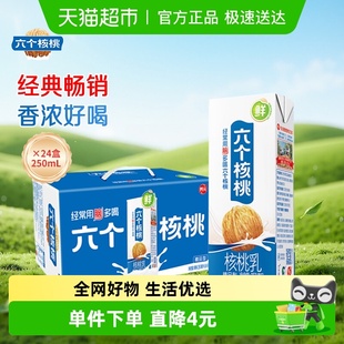 养元 24盒饮料整箱 六个核桃精品型植物蛋白核桃乳250ml